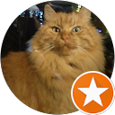 Ma P. profile picture