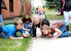 Outdoor Education-Learning through Nature, Movement and Place