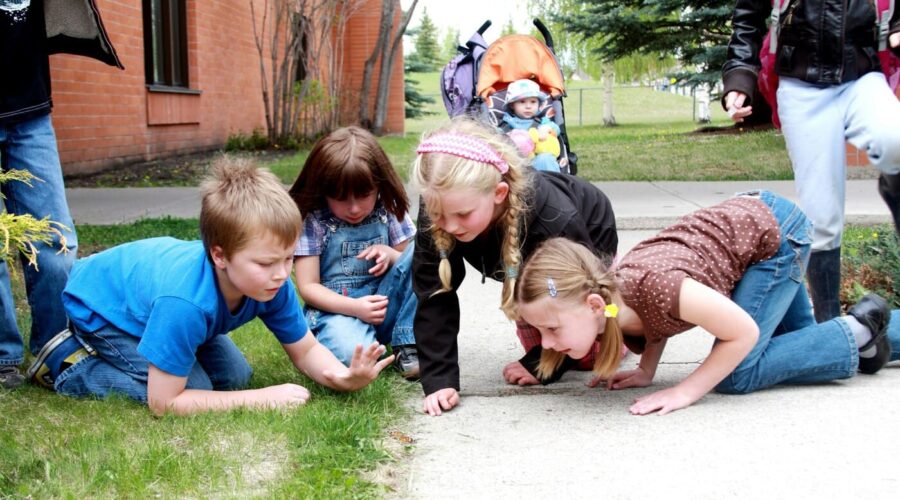 Outdoor Education-Learning through Nature, Movement and Place